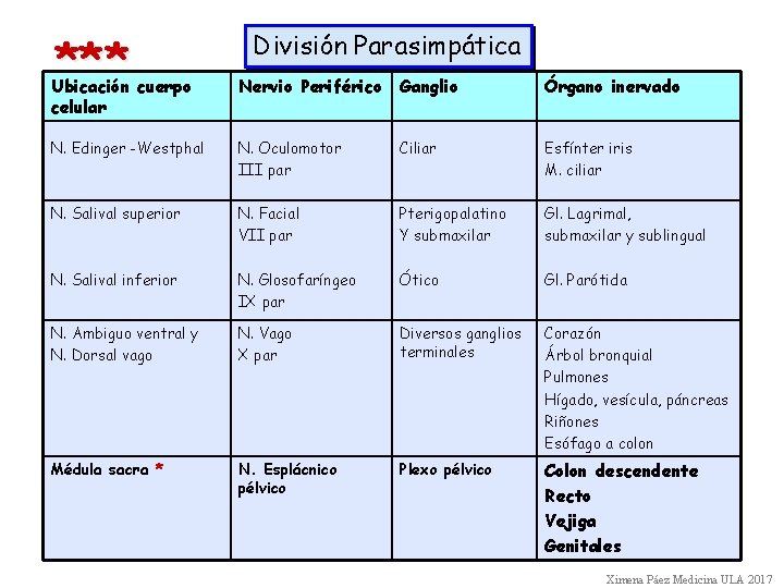 *** División Parasimpática Ubicación cuerpo celular Nervio Periférico Ganglio Órgano inervado N. Edinger -Westphal
