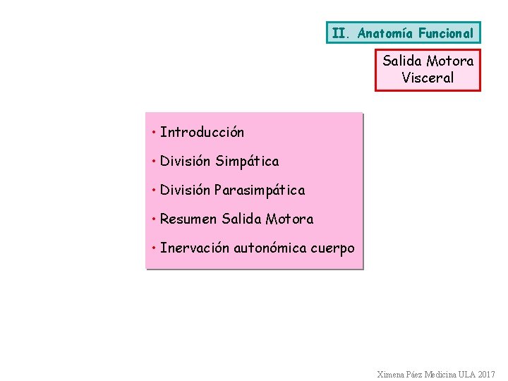 II. Anatomía Funcional Salida Motora Visceral • Introducción • División Simpática • División Parasimpática