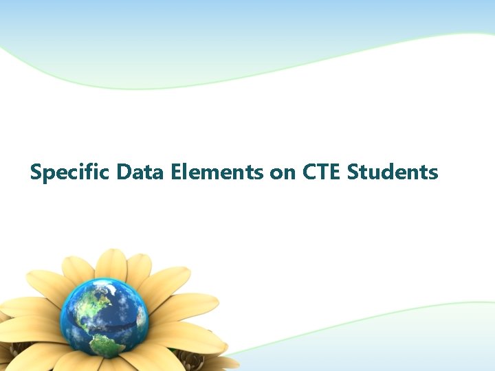 Specific Data Elements on CTE Students 