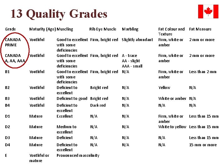 13 Quality Grades Grade Maturity (Age) Muscling Rib Eye Muscle CANADA PRIME Youthful Good