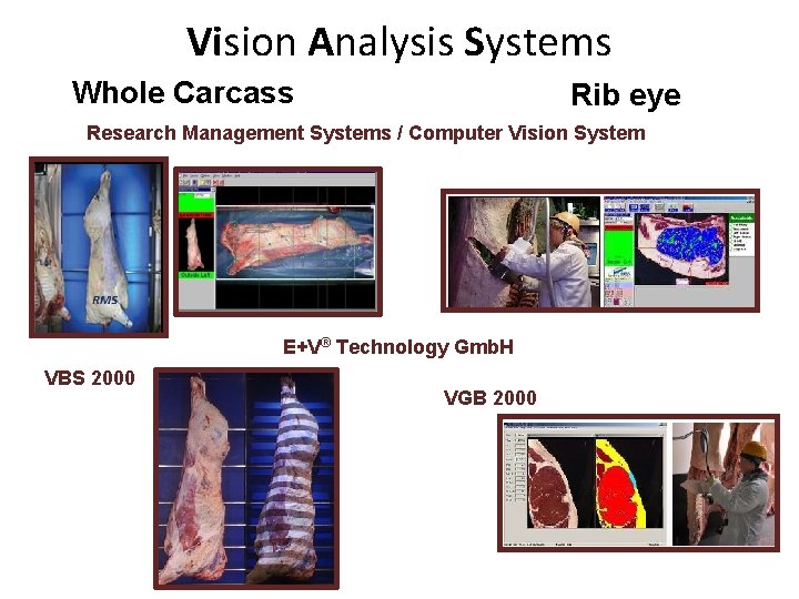 Vision Analysis Systems Whole Carcass Rib eye Research Management Systems / Computer Vision System