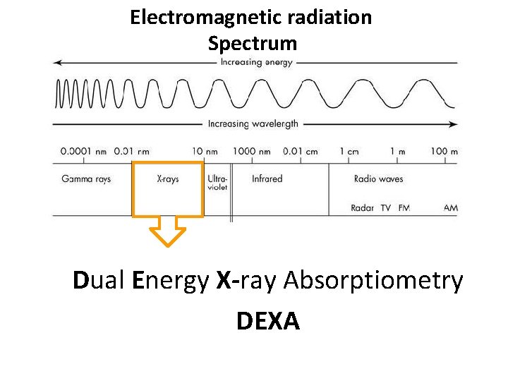 Electromagnetic radiation Spectrum Dual Energy X-ray Absorptiometry DEXA 