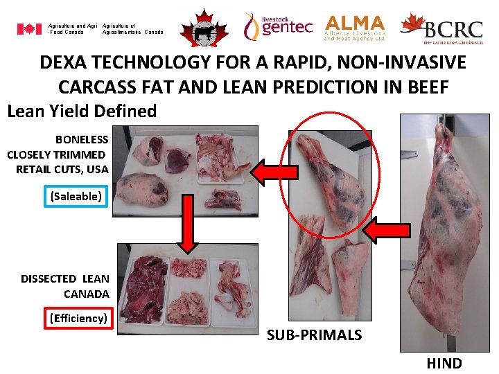 Agriculture and Agriculture et -Food Canada Agroalimentaire Canada DEXA TECHNOLOGY FOR A RAPID, NON-INVASIVE