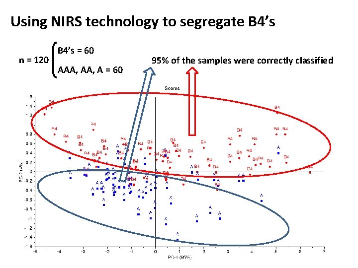 Using NIRS technology to segregate B 4’s n = 120 B 4’s = 60