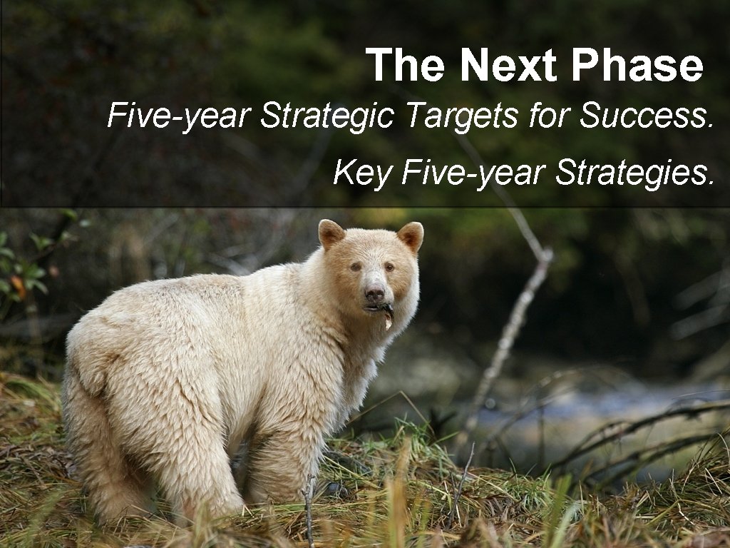 The Next Phase Five-year Strategic Targets for Success. Key Five-year Strategies. 