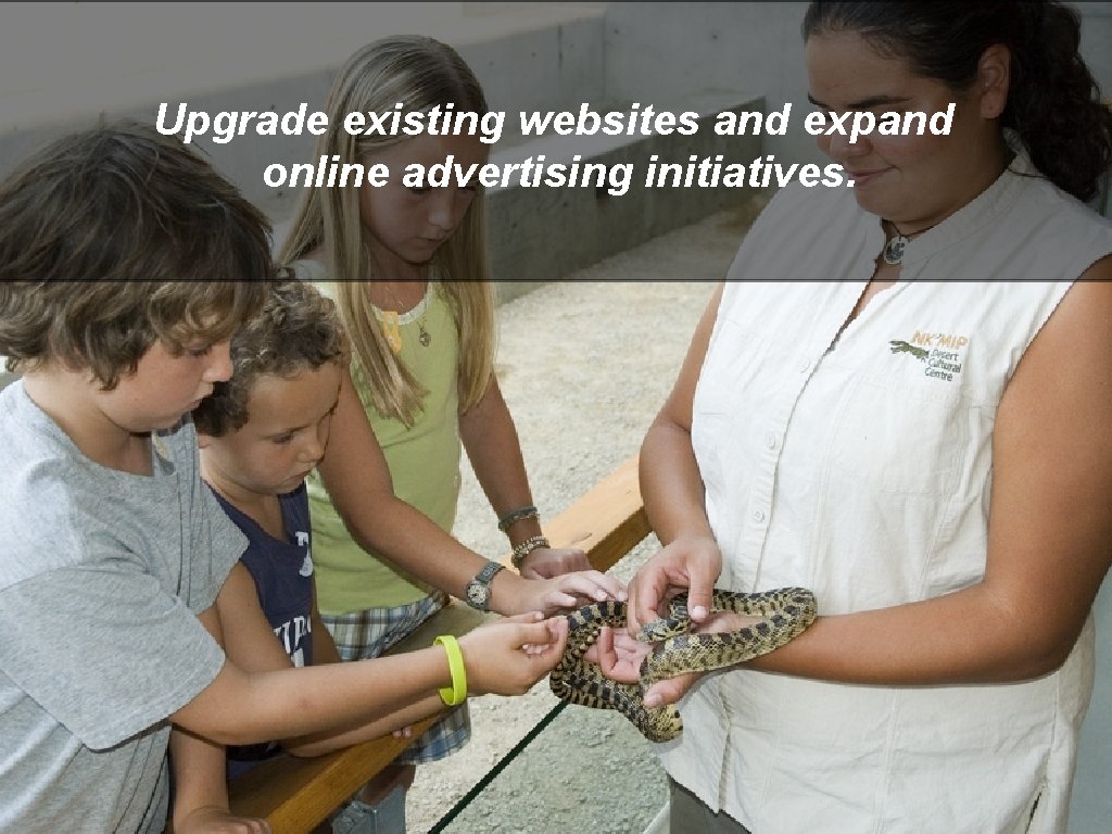 Upgrade existing websites and expand online advertising initiatives. 