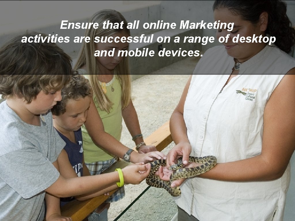 Ensure that all online Marketing activities are successful on a range of desktop and