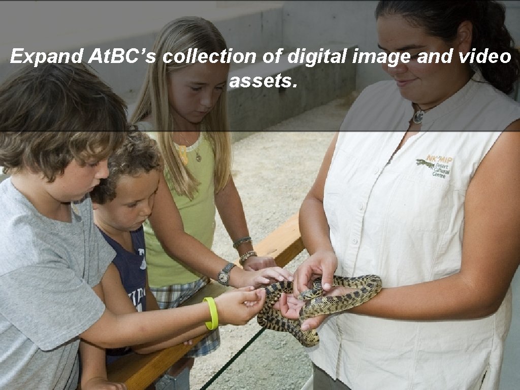 Expand At. BC’s collection of digital image and video assets. 