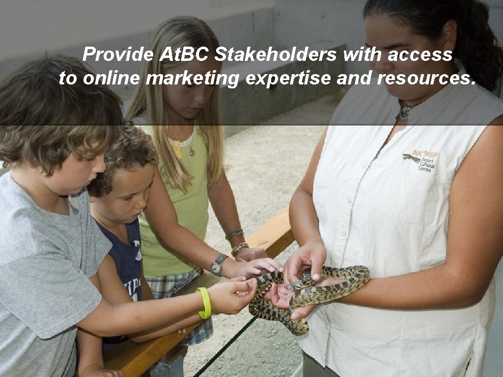 Provide At. BC Stakeholders with access to online marketing expertise and resources. 