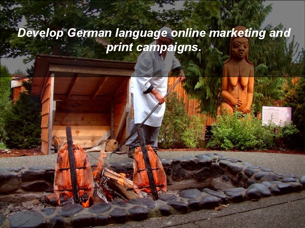 Develop German language online marketing and print campaigns. 