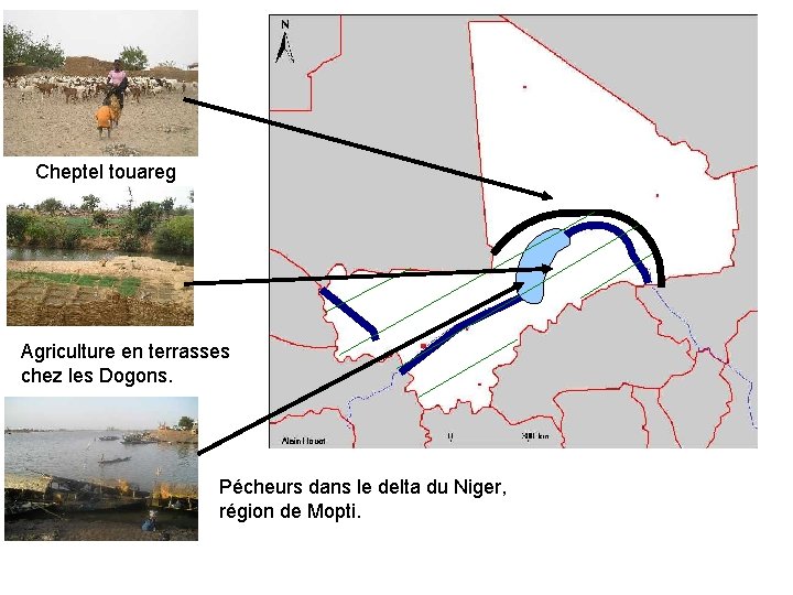Cheptel touareg Agriculture en terrasses chez les Dogons. Pécheurs dans le delta du Niger,