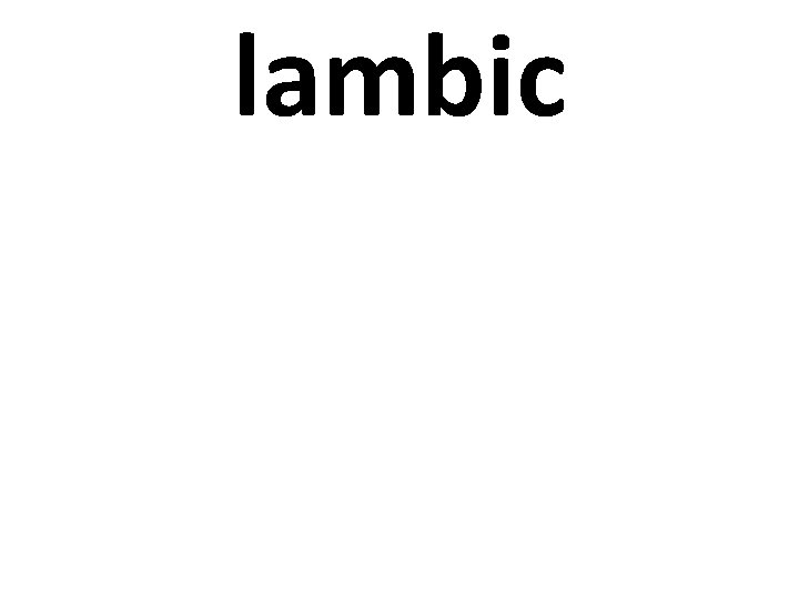 lambic 