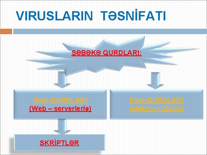 VIRUSLARIN TƏSNİFATI ŞƏBƏKƏ QURDLARI: Web-QURDLARI (Web – serverlerlə) SKRİPTLƏR Poçt-QURDLARI (elektron pöçtla) 