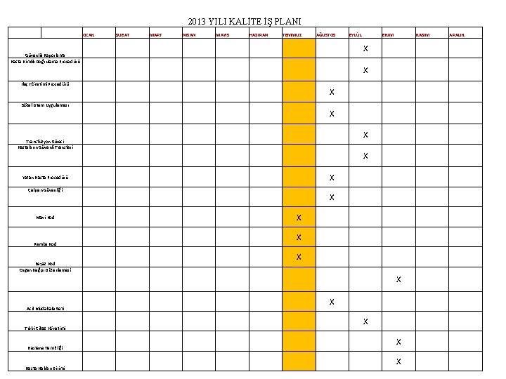 2013 YILI KALİTE İŞ PLANI OCAK ŞUBAT MART NİSAN MAYIS HAZİRAN TEMMUZ AĞUSTOS X