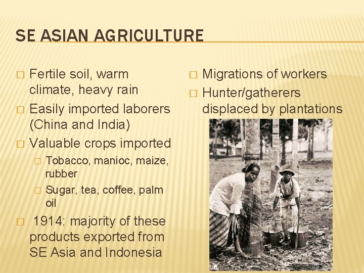 SE ASIAN AGRICULTURE � � � Fertile soil, warm climate, heavy rain Easily imported