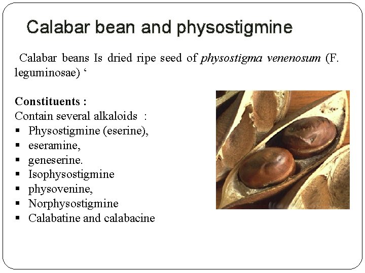 Calabar bean and physostigmine Calabar beans Is dried ripe seed of physostigma venenosum (F. Calabar bean and physostigmine Calabar beans Is dried ripe seed of physostigma venenosum (F.