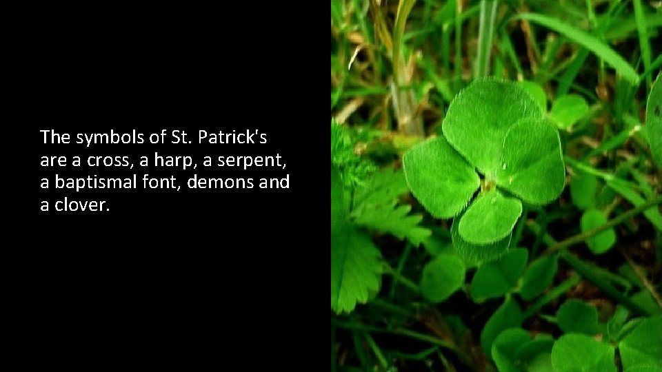 The symbols of St. Patrick's are a cross, a harp, a serpent, a baptismal