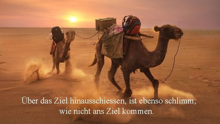 Über das Ziel hinausschiessen, ist ebenso schlimm, wie nicht ans Ziel kommen. 