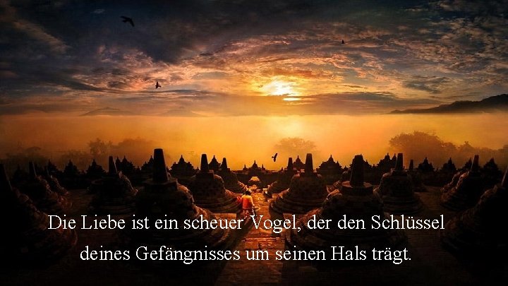 Die Liebe ist ein scheuer Vogel, der den Schlüssel deines Gefängnisses um seinen Hals Die Liebe ist ein scheuer Vogel, der den Schlüssel deines Gefängnisses um seinen Hals