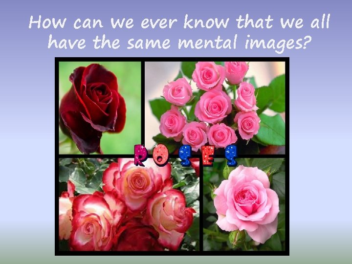 How can we ever know that we all have the same mental images? 