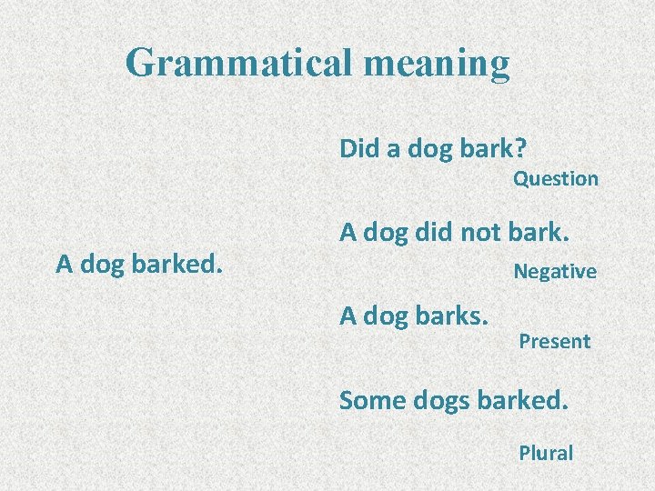 Grammatical meaning Did a dog bark? Question A dog barked. A dog did not
