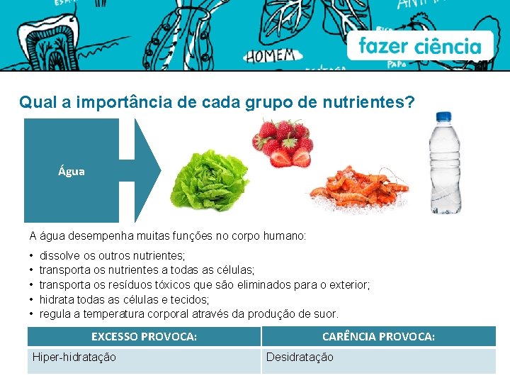 Qual a importância de cada grupo de nutrientes? Água A água desempenha muitas funções