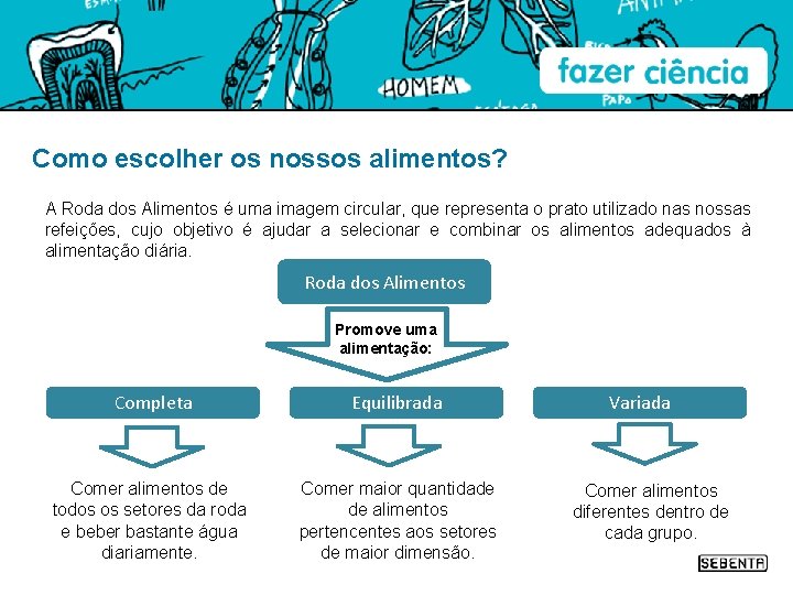 Como escolher os nossos alimentos? A Roda dos Alimentos é uma imagem circular, que