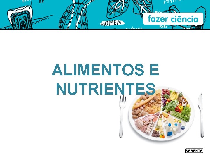 ALIMENTOS E NUTRIENTES 