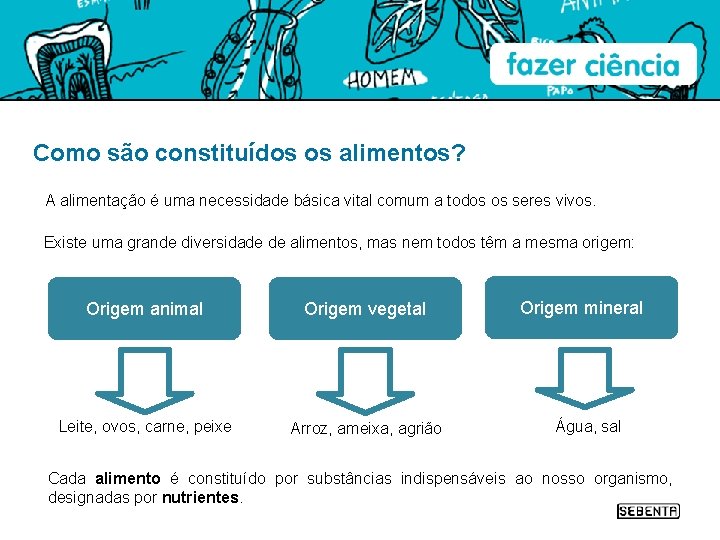 Como são constituídos os alimentos? A alimentação é uma necessidade básica vital comum a