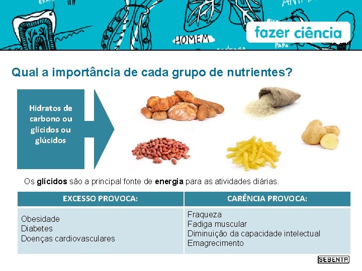 Qual a importância de cada grupo de nutrientes? Hidratos de carbono ou glícidos ou