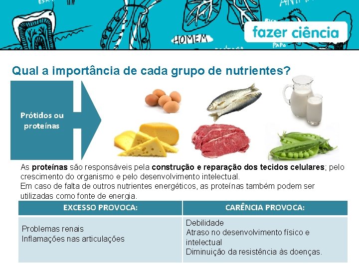 Qual a importância de cada grupo de nutrientes? Prótidos ou proteínas As proteínas são