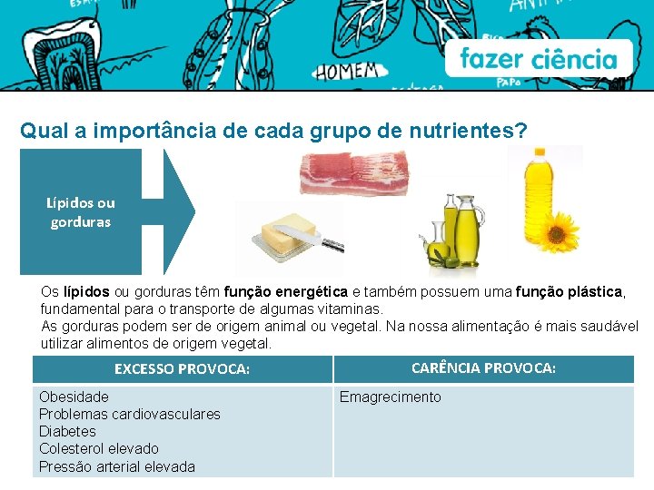 Qual a importância de cada grupo de nutrientes? Lípidos ou gorduras Os lípidos ou