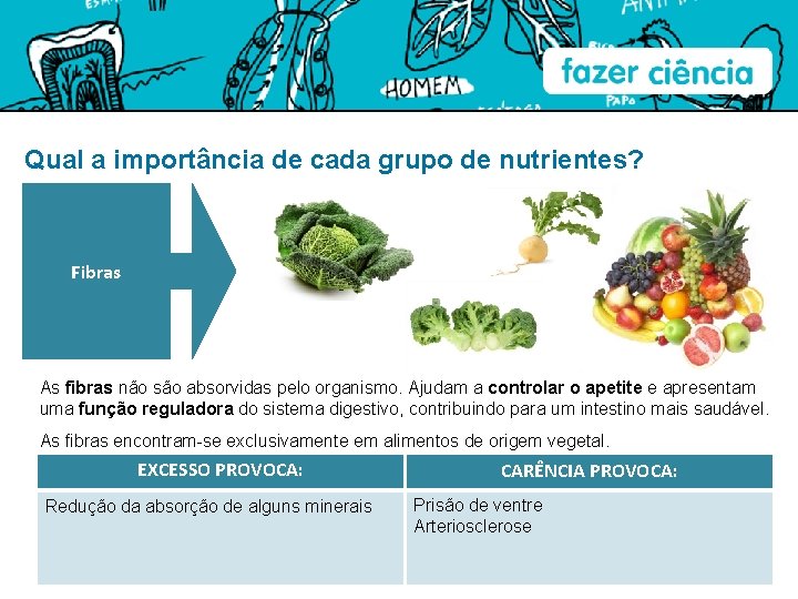 Qual a importância de cada grupo de nutrientes? Fibras As fibras não são absorvidas
