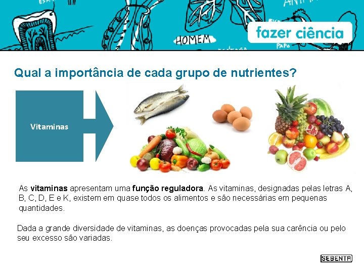 Qual a importância de cada grupo de nutrientes? Vitaminas As vitaminas apresentam uma função