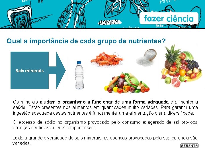 Qual a importância de cada grupo de nutrientes? Sais minerais Os minerais ajudam o