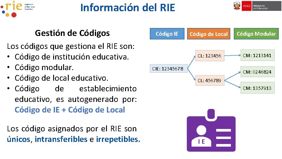 Información del RIE Gestión de Códigos Los códigos que gestiona el RIE son: •