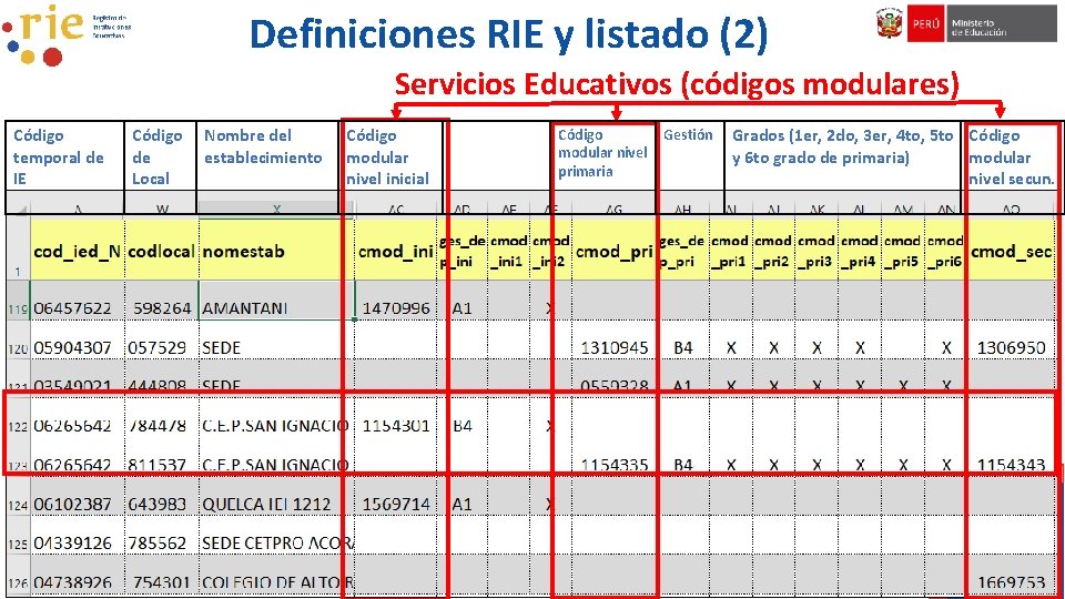 Definiciones RIE y listado (2) Servicios Educativos (códigos modulares) Código temporal de IE Código