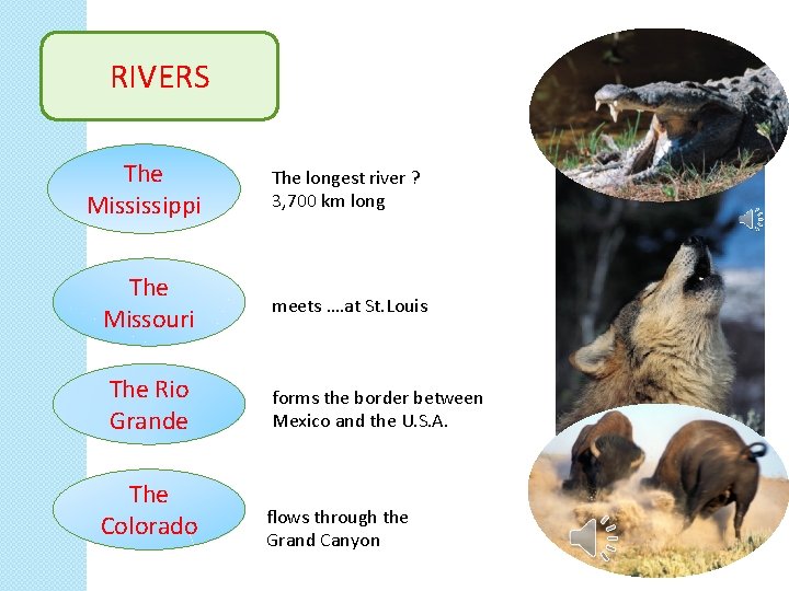 RIVERS The Mississippi The longest river ? 3, 700 km long The Missouri meets