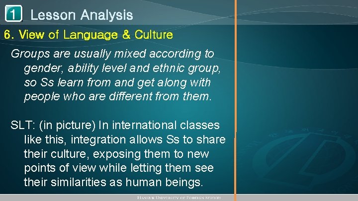 1 Lesson Analysis 6. View of Language & Culture Groups are usually mixed according