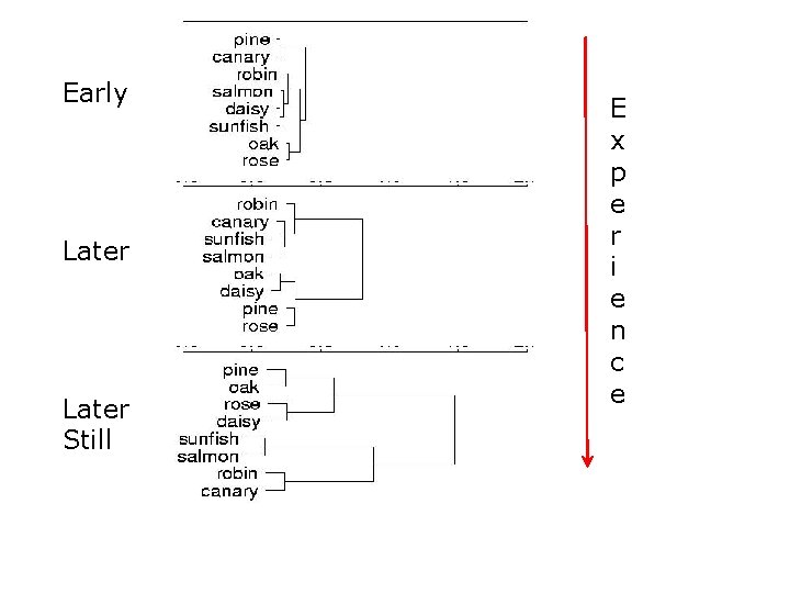Early Later Still E x p e r i e n c e Early Later Still E x p e r i e n c e