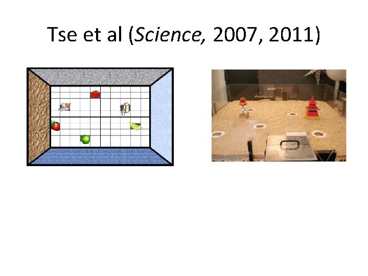 Tse et al (Science, 2007, 2011) Tse et al (Science, 2007, 2011)