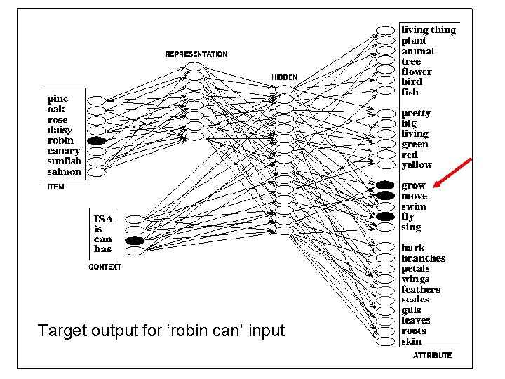 Target output for ‘robin can’ input Target output for ‘robin can’ input