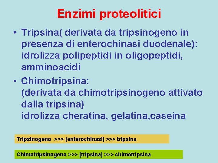 Enzimi proteolitici • Tripsina( derivata da tripsinogeno in presenza di enterochinasi duodenale): idrolizza polipeptidi