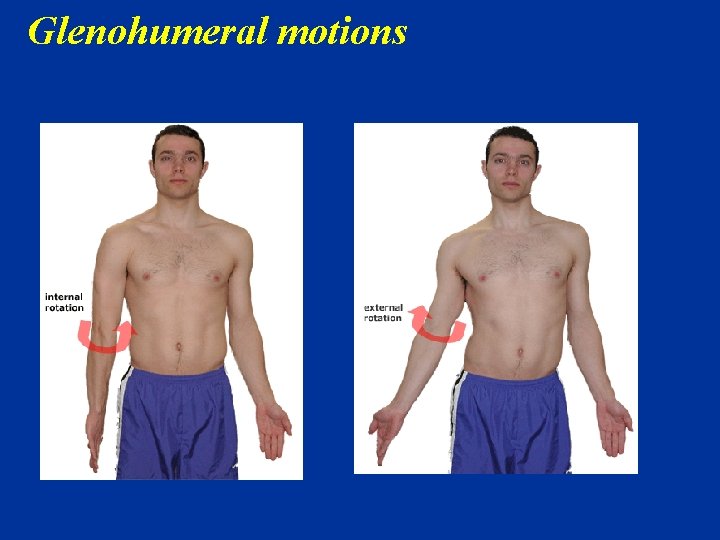 Glenohumeral motions 