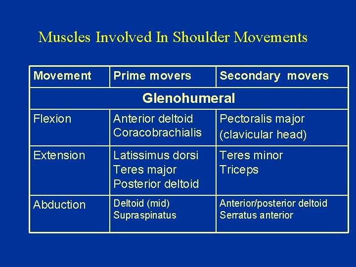 Muscles Involved In Shoulder Movements Movement Prime movers Secondary movers Glenohumeral Flexion Anterior deltoid
