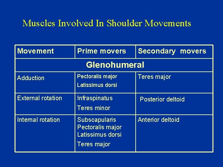 Muscles Involved In Shoulder Movements Movement Prime movers Secondary movers Glenohumeral Adduction Pectoralis major