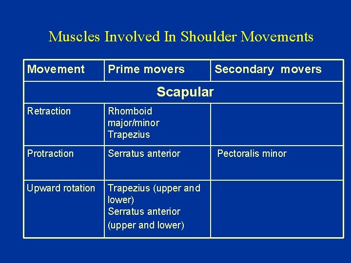 Muscles Involved In Shoulder Movements Movement Prime movers Secondary movers Scapular Retraction Rhomboid major/minor