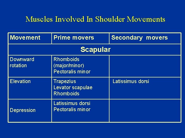 Muscles Involved In Shoulder Movements Movement Prime movers Secondary movers Scapular Downward rotation Rhomboids