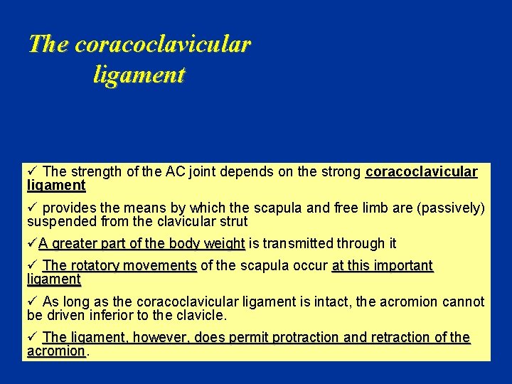 The coracoclavicular ligament ü The strength of the AC joint depends on the strong