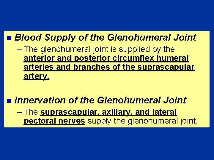 n Blood Supply of the Glenohumeral Joint – The glenohumeral joint is supplied by